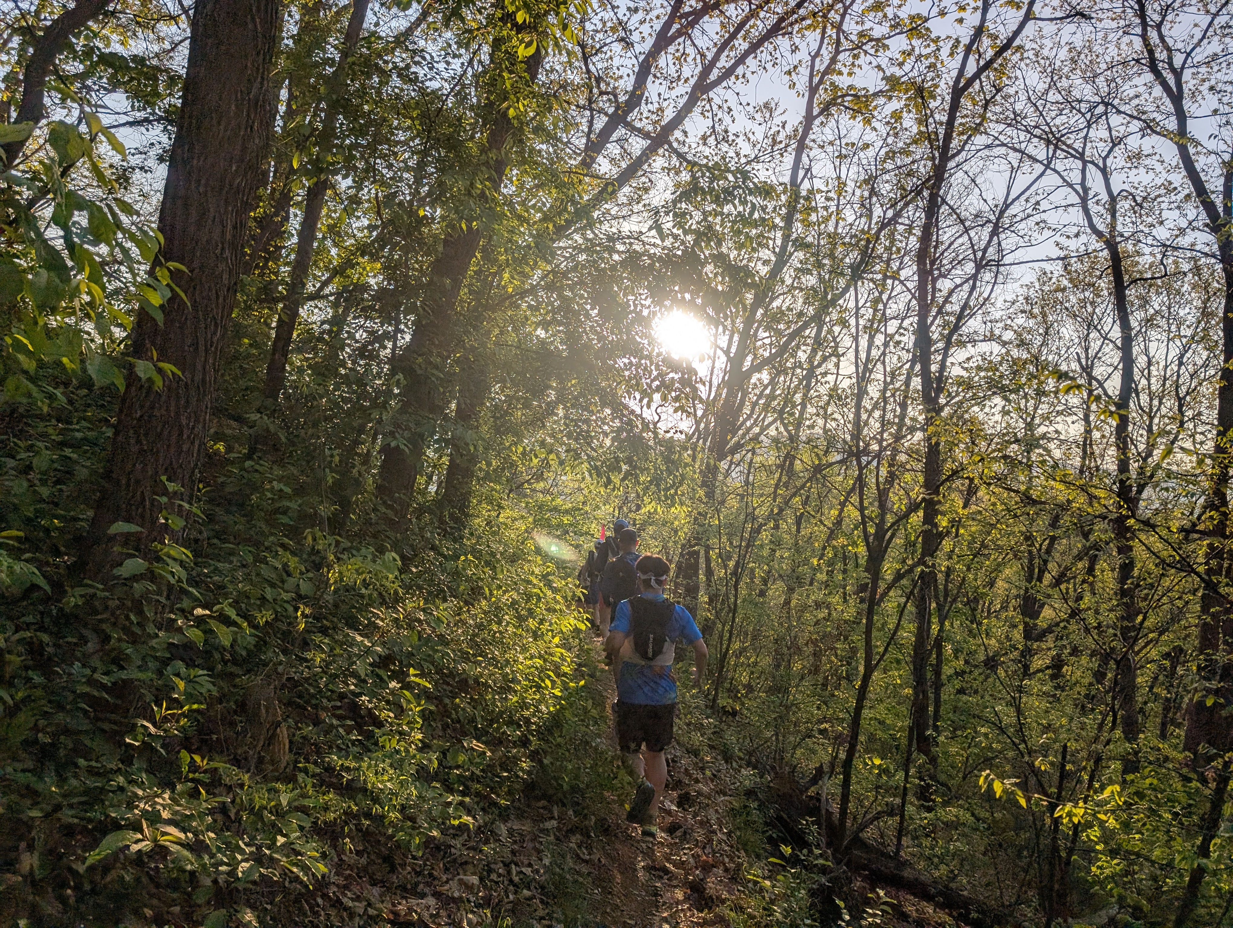 Real start of trail run