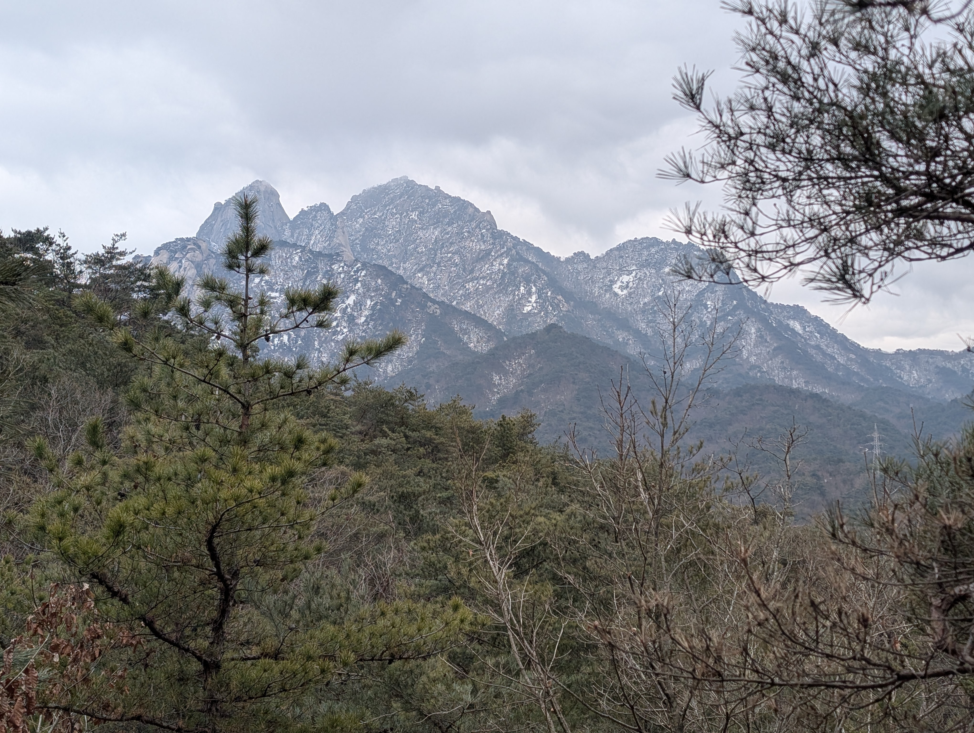 Views at segment 12