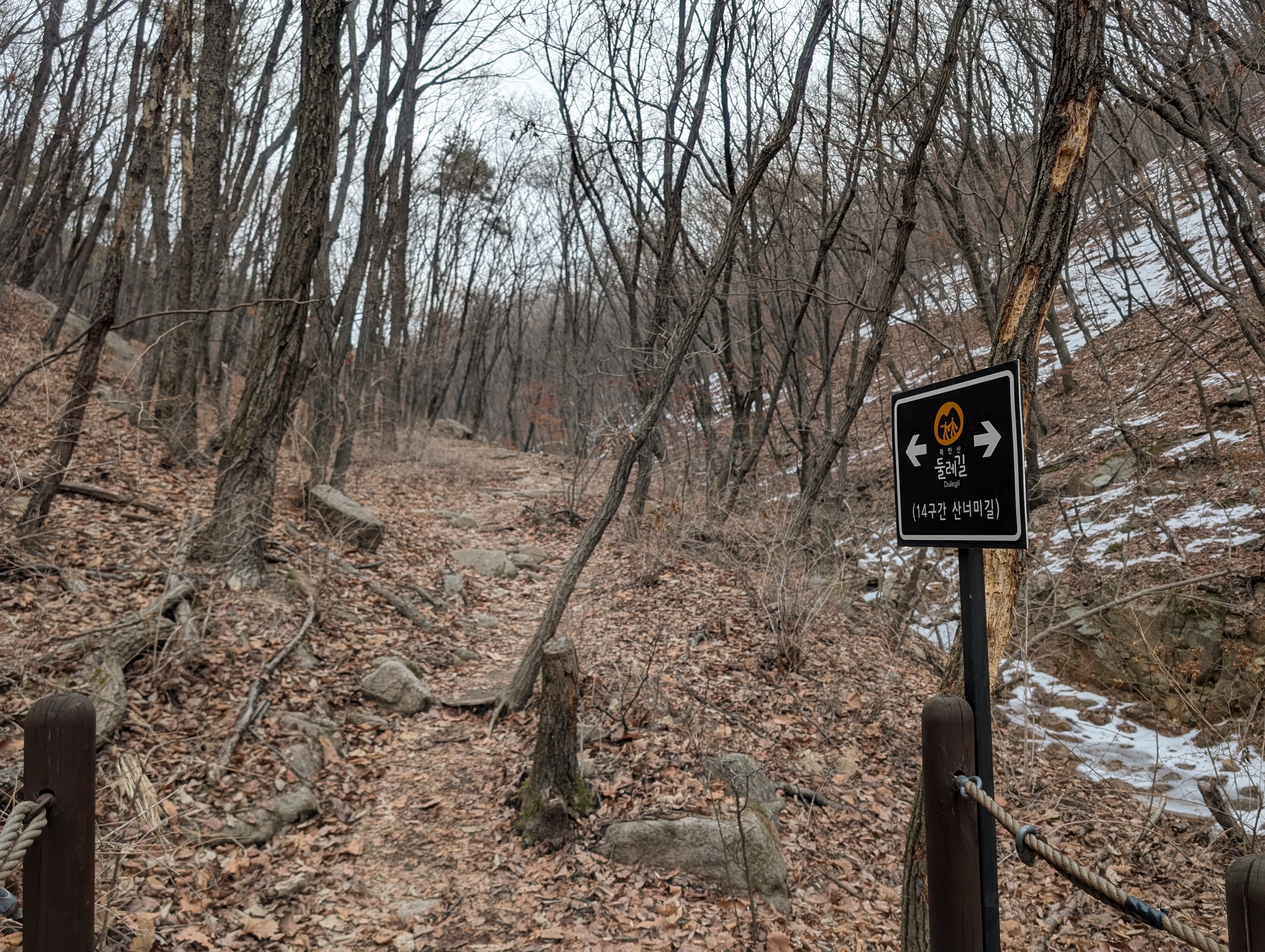 Segment 14 with marker