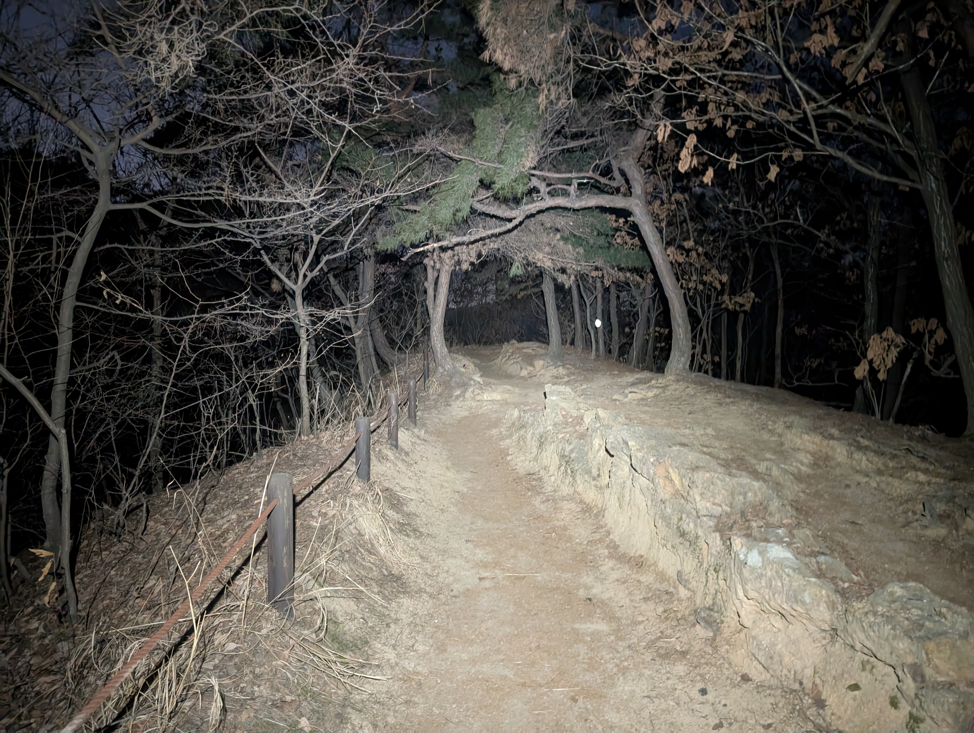 Segment 7 trail